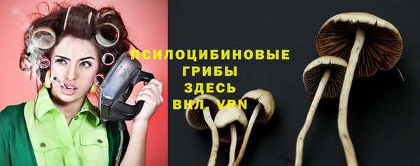 не бодяженный Надым