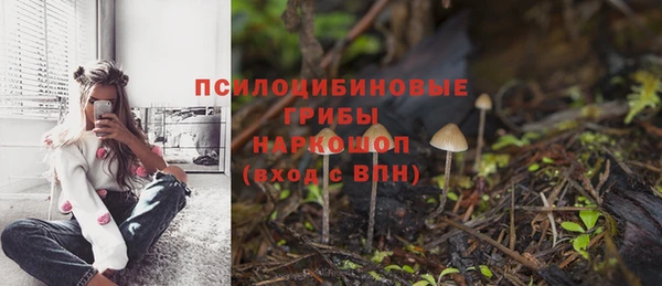 крисы Навашино