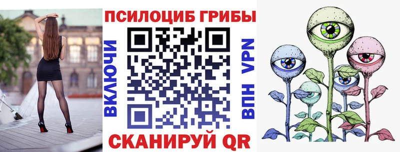 что такое наркотик  Тырныауз  Галлюциногенные грибы Psilocybine cubensis 